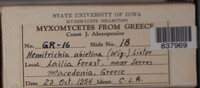 Image Associated With the Occurence